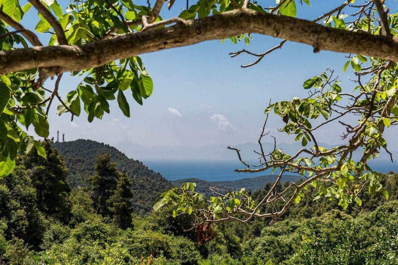 Pyrgos Country House Skopelos Buitenkant foto
